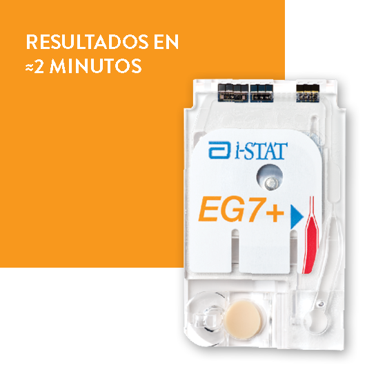 ANALIZADOR i-STAT 1 ABBOTT - Imagen 12